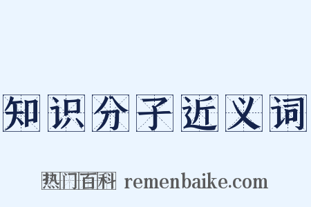 知识分子近义词是什么意思的图片